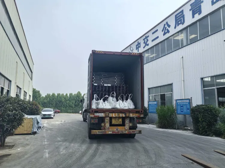 Kết cấu thép Liweiyuan Thanh Đảo cung cấp các thành phần thép tùy chỉnh cho trang trại thủy sản cho khách hàng Iceland